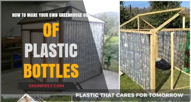 Eco-Friendly Gardening: Build a Greenhouse with Recycled Plastic Bottles
