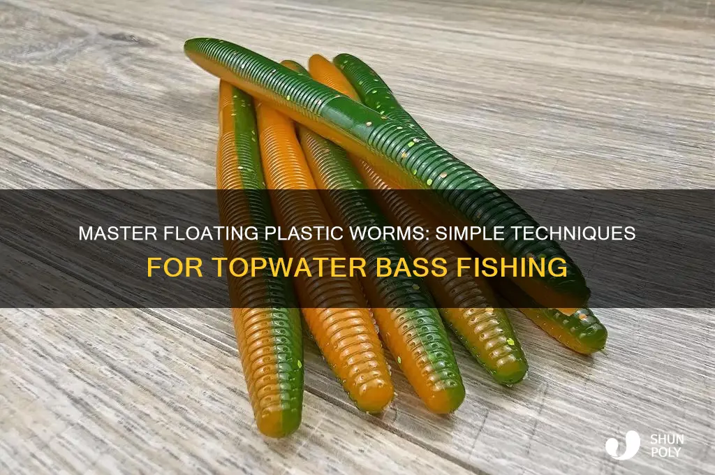 how to make your plastic worms float