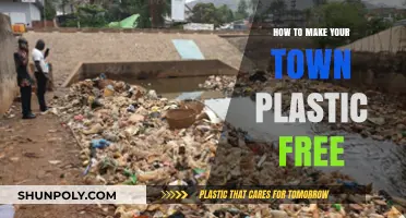 Sustainable Steps: Transforming Your Town into a Plastic-Free Community