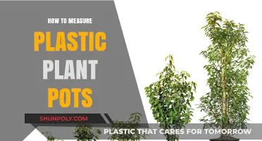 Measuring Plastic Plant Pots: A Step-by-Step Guide