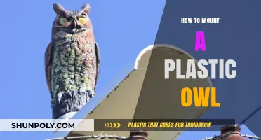 Mounting Plastic Owls: Effective Deterrent or Useless?