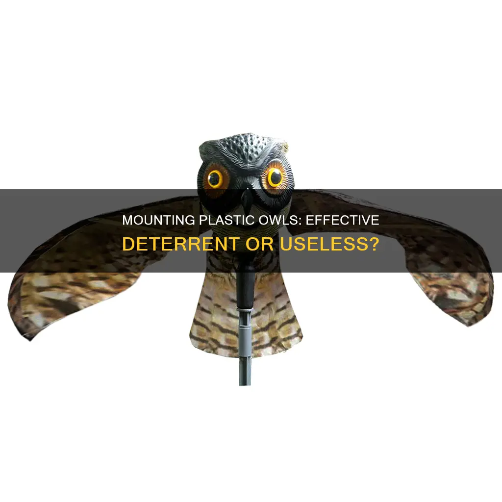 how to mount a plastic owl