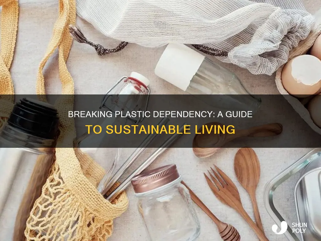 how to move away from plastic dependency