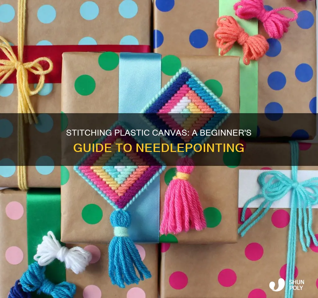 how to needlepoint on plastic canvas