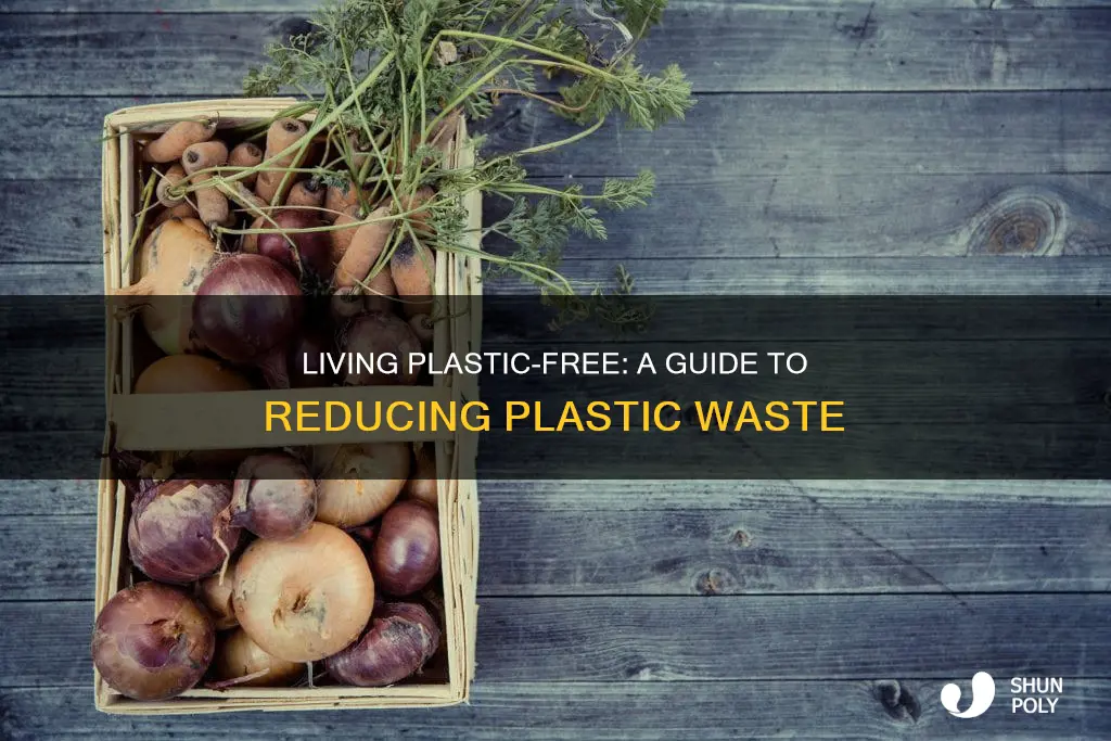 how to not have any plastic waste
