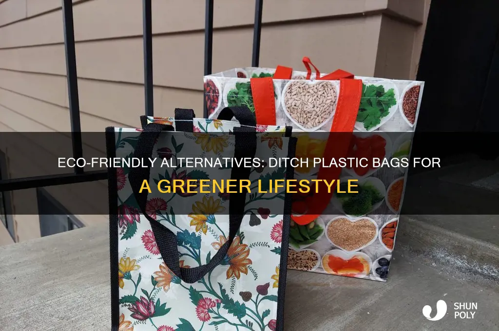 how to not use plastic bags