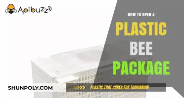 Opening a Bee Package: Easy Steps to Follow