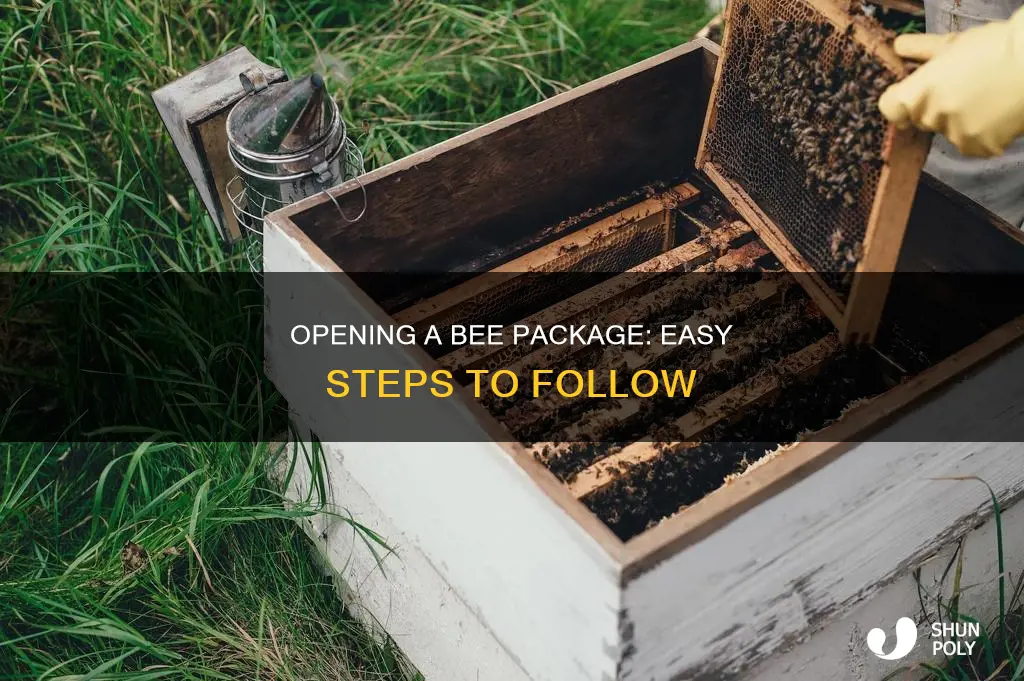 how to open a plastic bee package