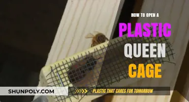 Unlocking Your Queen Cage: A Step-by-Step Guide