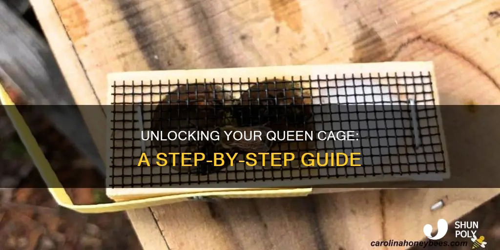 how to open a plastic queen cage