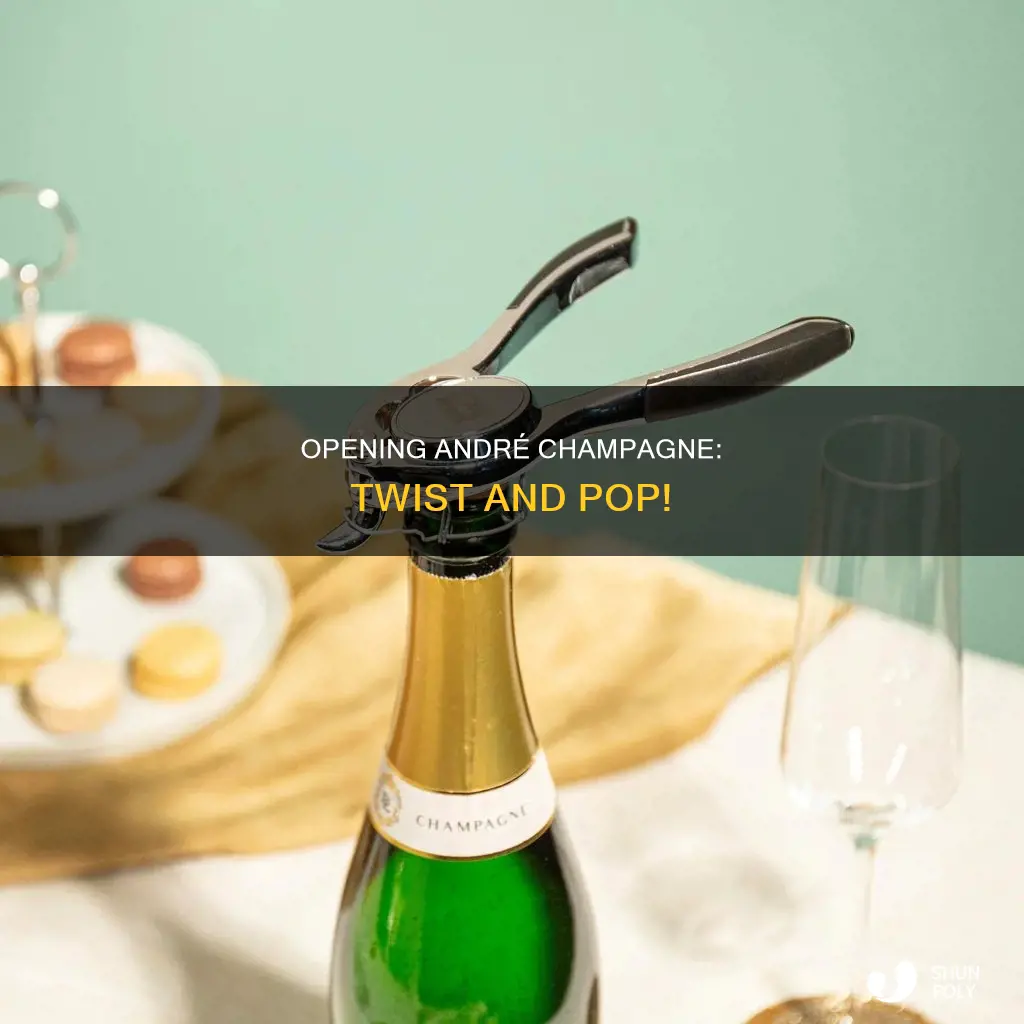 how to open andre champagne plastic top