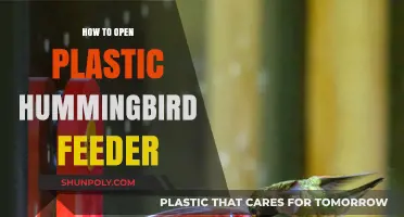 Unlocking the Secrets of Hummingbird Feeders