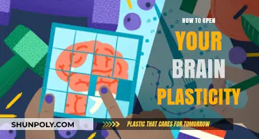 Unlock Brain Plasticity: Simple Strategies to Boost Neuroplasticity