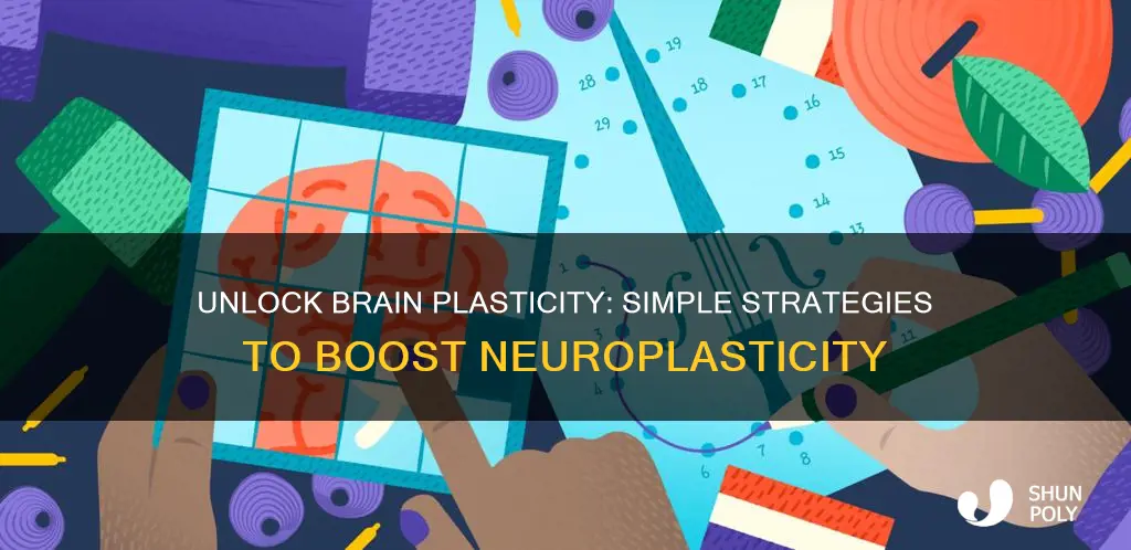 how to open your brain plasticity