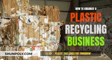 Unleash Profits: A Guide to Launching Your Plastic Recycling Empire