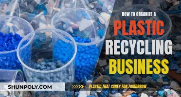 Plastic Recycling Business: Steps to Organize Success