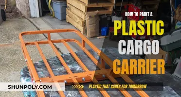 Painting a Plastic Cargo Carrier: A Step-by-Step Guide