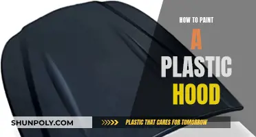 Transforming Your Plastic Hood: A Painting Guide