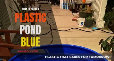 Transforming Your Plastic Pond with a Splash of Blue