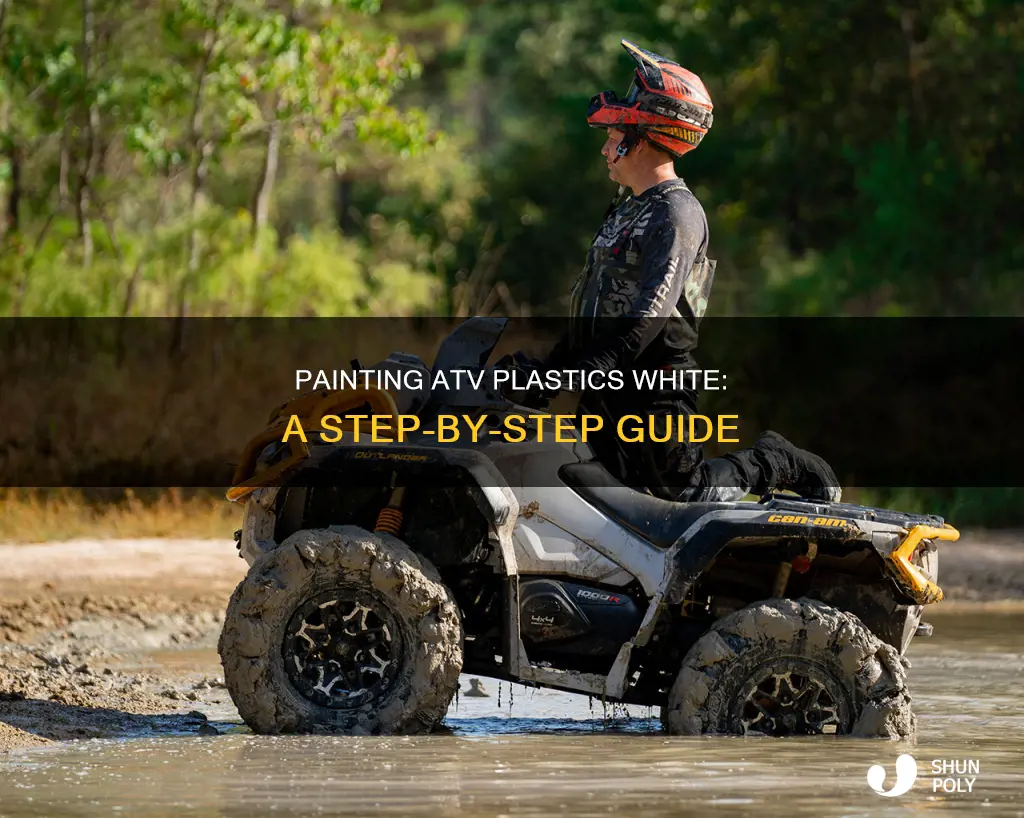 how to paint atv plastics white
