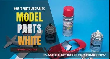 Transforming Black Plastic Models with White Paint