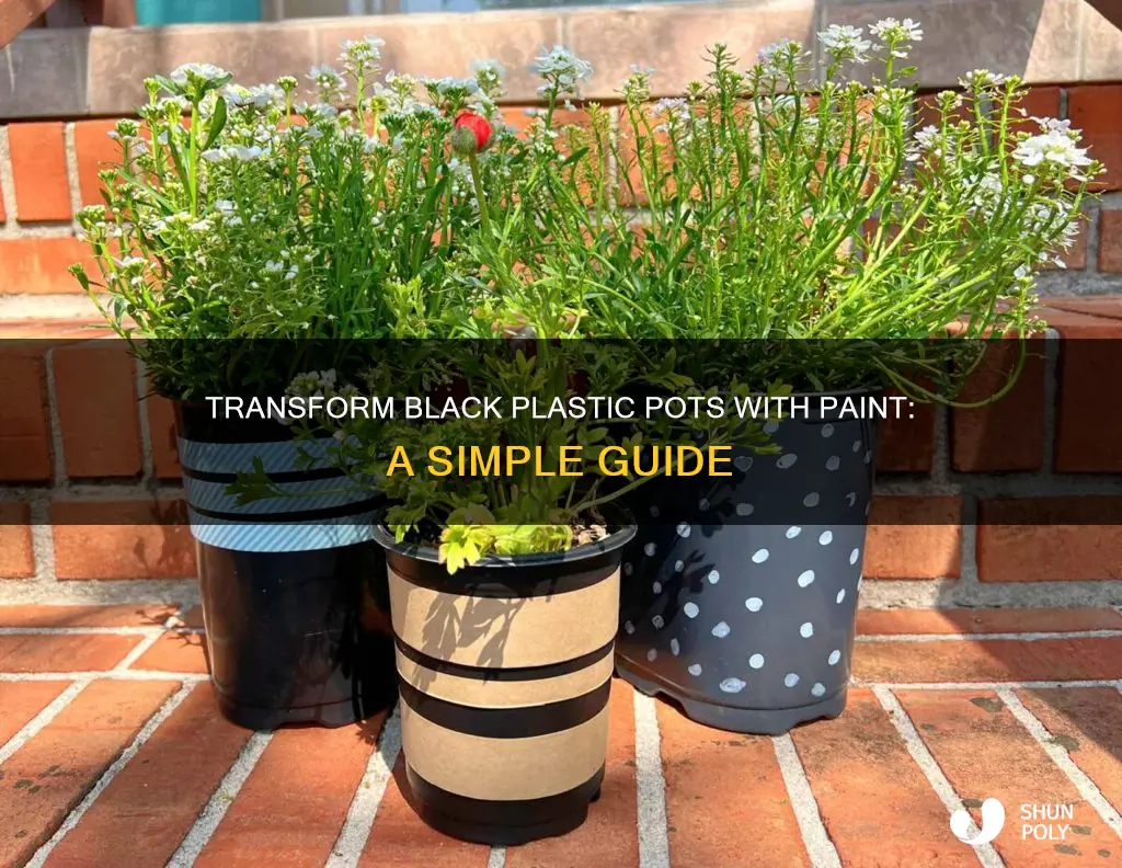 how to paint black plastic pots