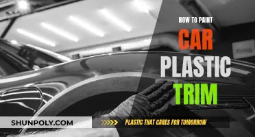 Refresh Your Ride: Painting Car Plastic Trim Like a Pro