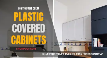Transforming Cheap Plastic Cabinets with Paint
