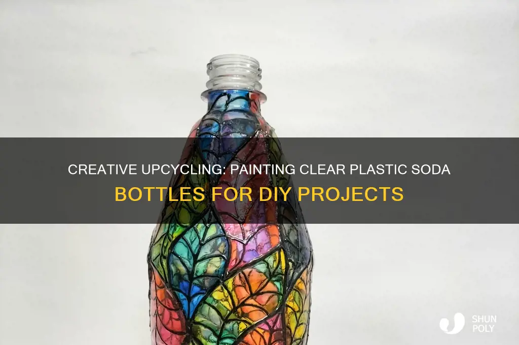 how to paint clear plastic soda bottles