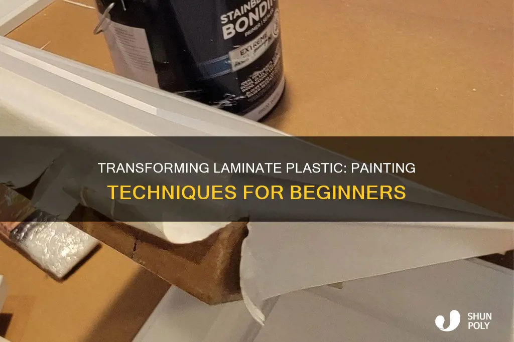how to paint laminate plastic