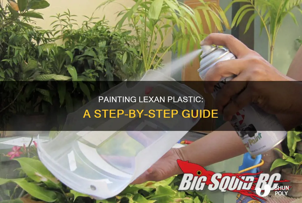 how to paint lexan plastic