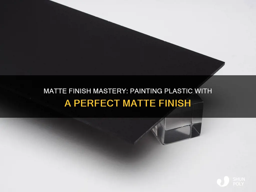how to paint matte finish on plastic