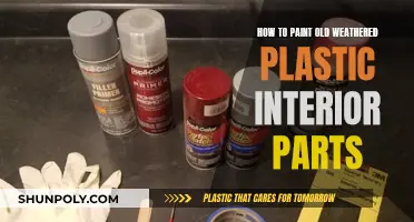 Revamping Old Plastic Interior Parts with Paint