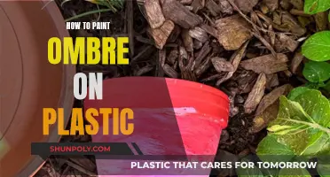 Ombre Artistry: Painting Plastic with Style