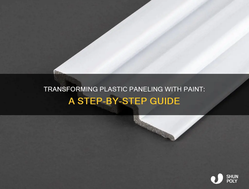 how to paint over plastic paneling