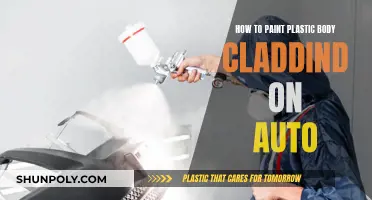 Transforming Plastic Body Cladding with Paint: Auto Guide