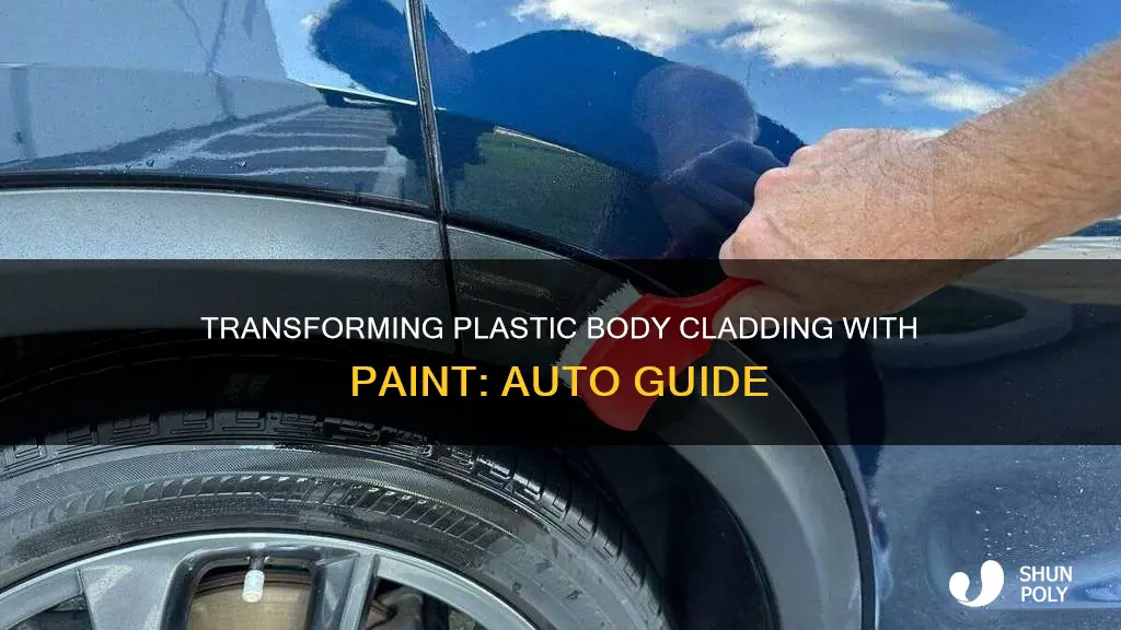 how to paint plastic body claddind on auto