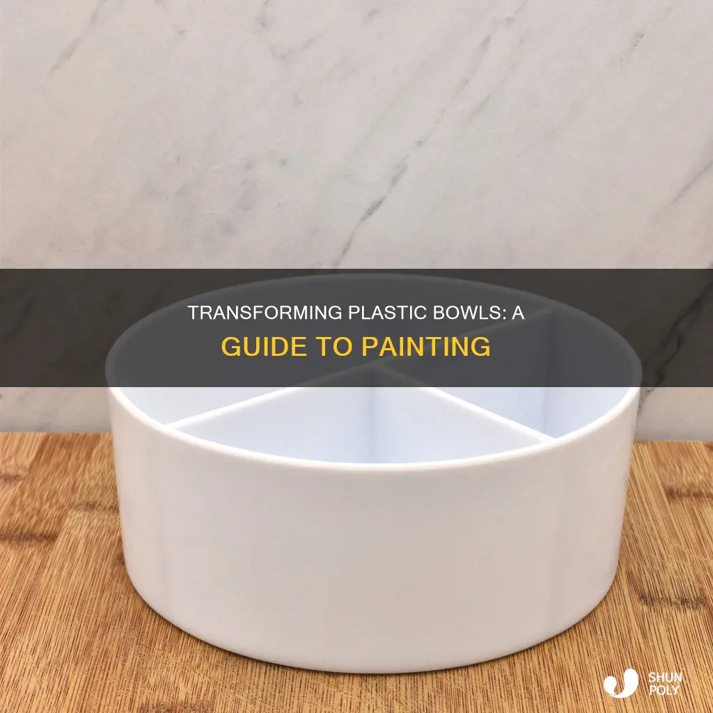 how to paint plastic bowl