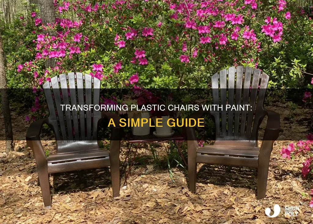 how to paint plastic cairs