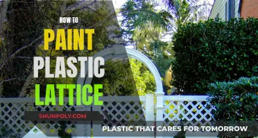 Transforming Plastic Lattice with Paint: A Beginner's Guide