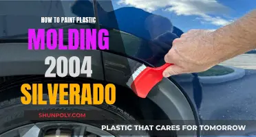 Painting Your 2004 Silverado: Refreshing Plastic Molding
