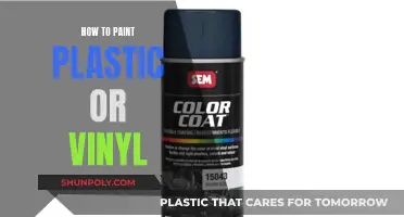 Transforming Plastic and Vinyl: Paint Application Techniques