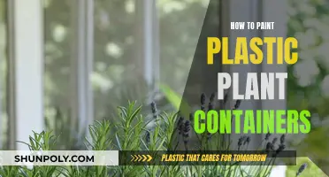 Transforming Plastic Plant Containers with Paint