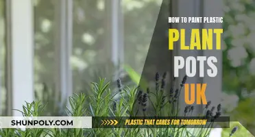 Transform Plastic Plant Pots with Paint: A UK Guide