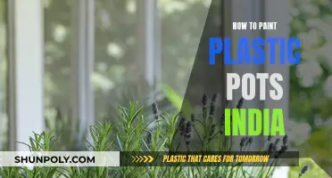 Painting Plastic Pots: A Guide for Indian Gardeners
