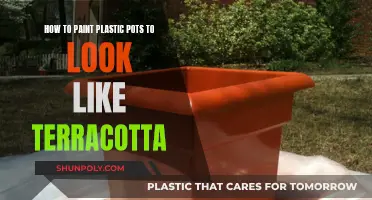 Transform Plastic Pots to Rustic Terracotta with Paint