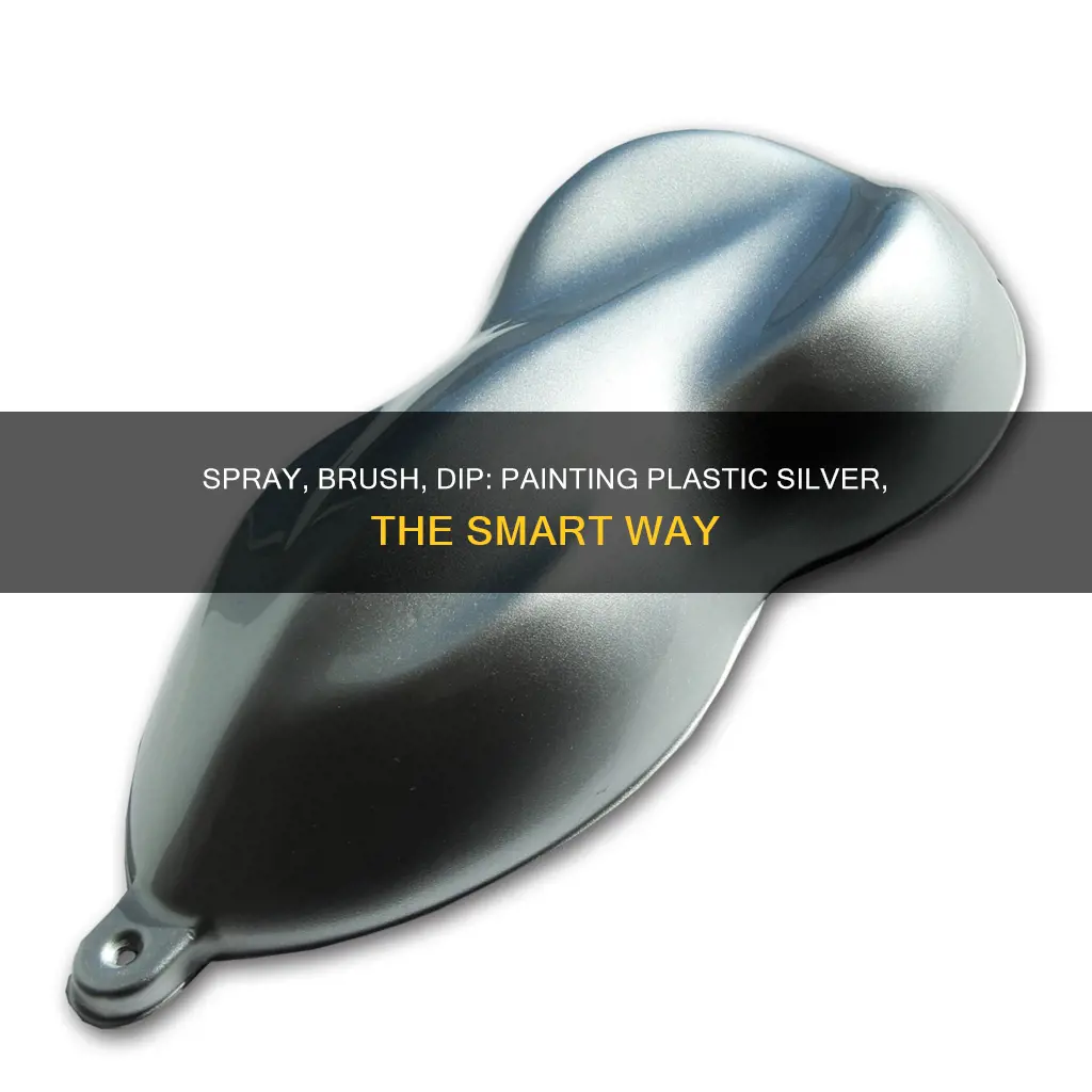 how to paint plastic silvee