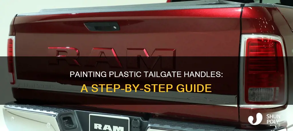 how to paint plastic tailgate handle