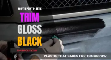 Painting Plastic Trim: Achieving Glossy Black Perfection