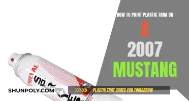 Painting Plastic Trim on Your 2007 Mustang: A Step-by-Step Guide